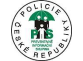 Logo PIS.png