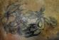 tetování levá lopatka - drak rozměr 17 x 7,5 cm