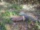 Nalezený dělostřelecký granát