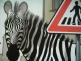 zebra ilustracni 4