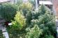 11 marihuana Ostrozska Nova Ves