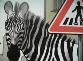 Zebra se za tebe nerozhlédne 01.jpg