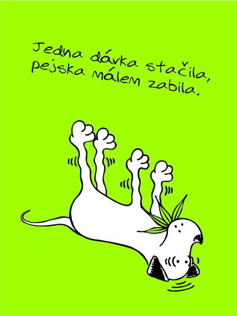 28 Plzeň_Skálová
