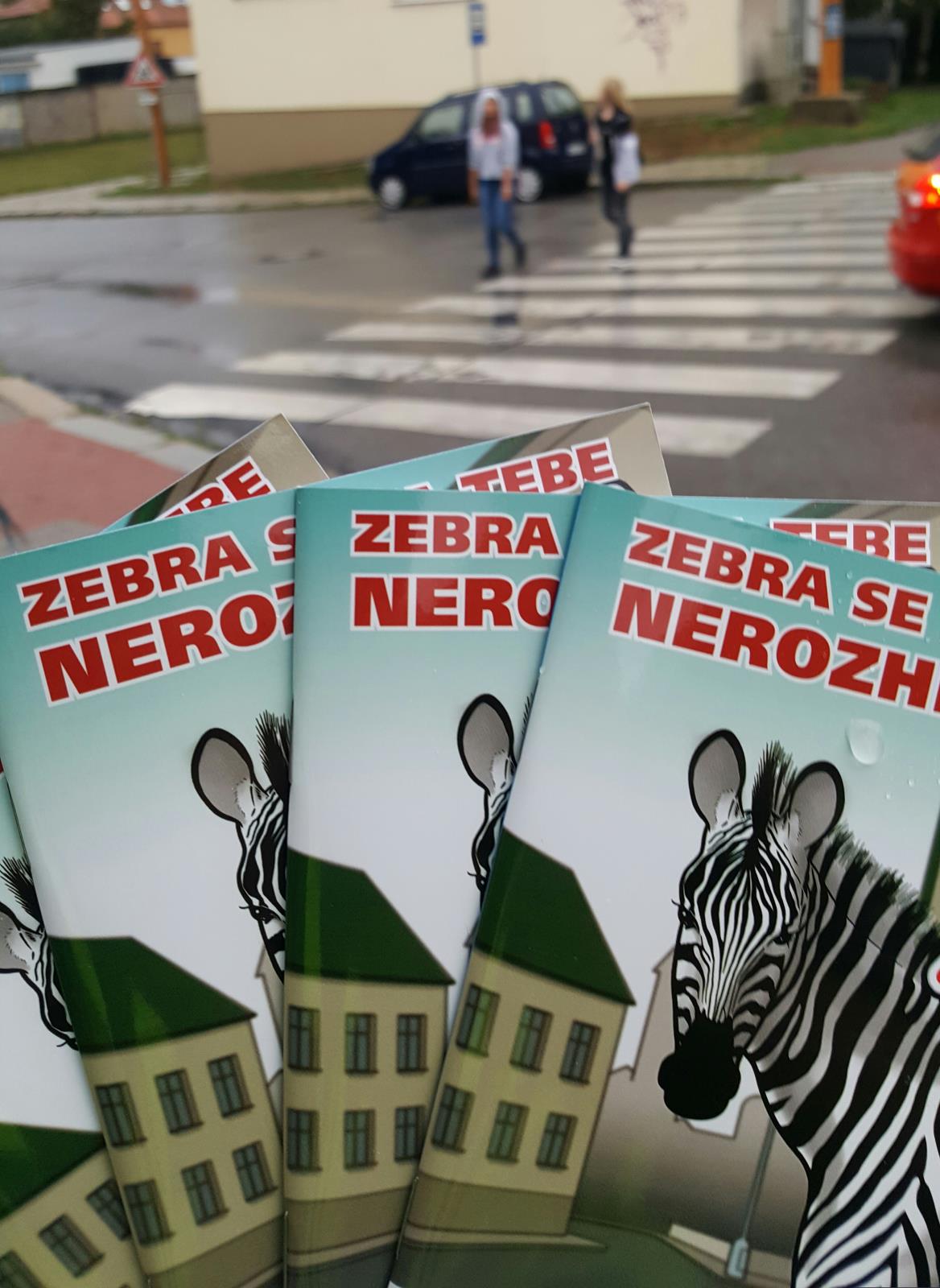 Zebra3.jpg