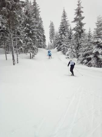 Krajské přebory v běhu na lyžích 2019