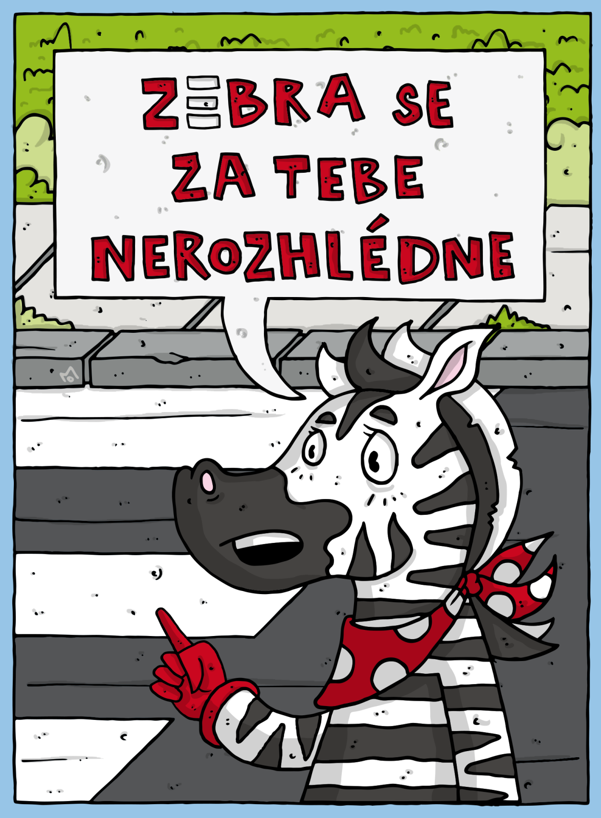 Zebra obrázek
