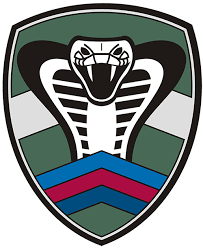 Kobra logo.png