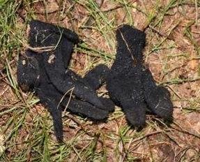 Klokočná - černé pletené rukavice
