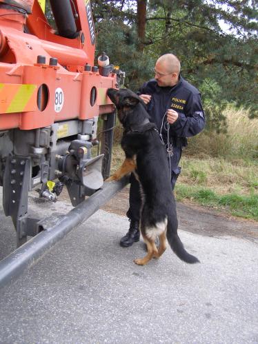 Ohledání vozidla služebním psem s policistou 