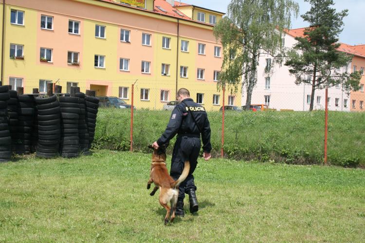 Krajské přebory policejních psů
