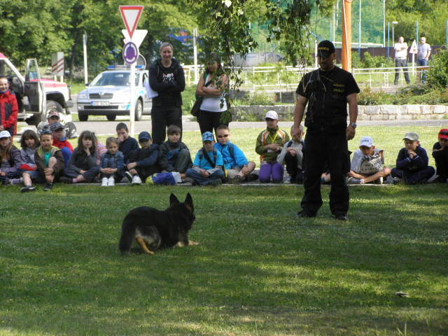 Policejní psovodi předvedli výcvik čtyřnohých pomocníků